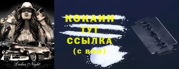 ECSTASY Лагань