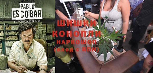 ECSTASY Лагань